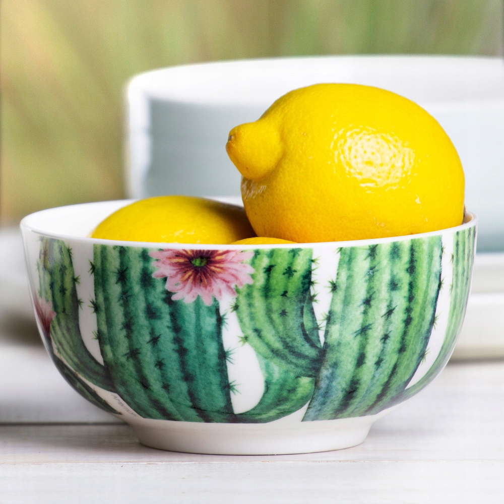 

99311 Ambition Cactus Salaterka Miska 13 CM 570 ML