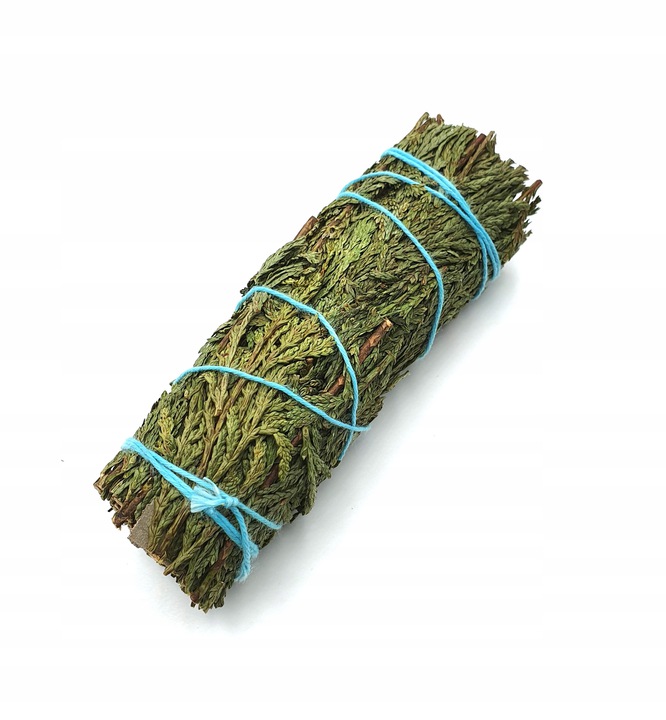 Cedrzyniec Kalifornijski - CEDR PĘCZEK