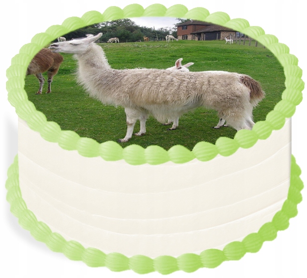 Levně oplatek na dort 29 Cm Zvířata Zoo Lama Narozeniny