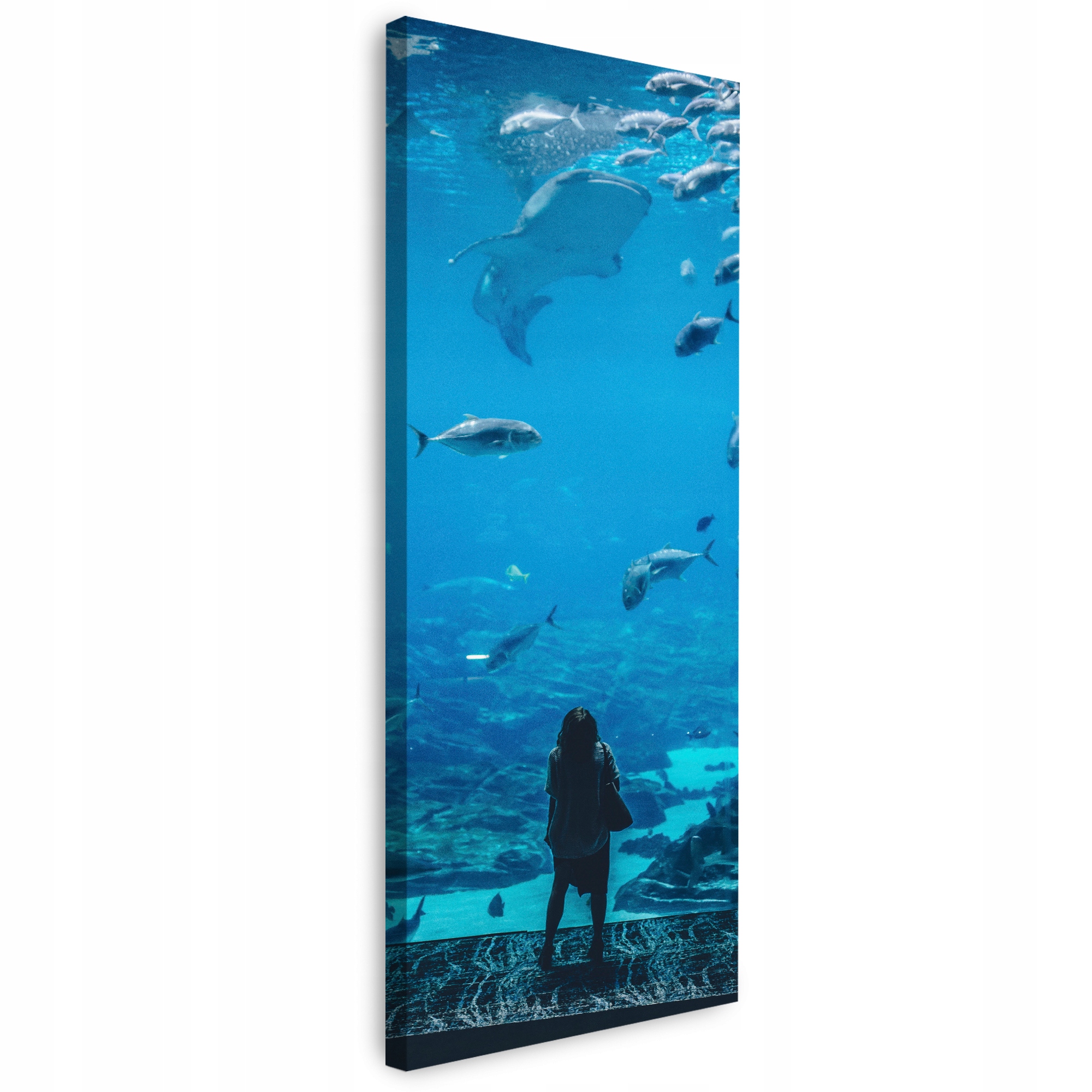 Obraz na plátně Lidé Akvárium Voda Mořský oceán Život 40x120 cm