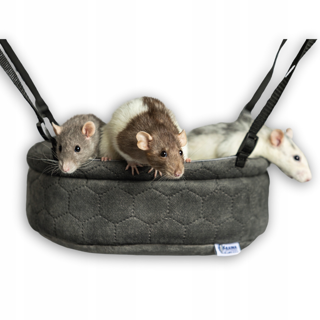 Levně Kraina Tuptusia houpačka rondel houpací síť hračka pro potkany činčily