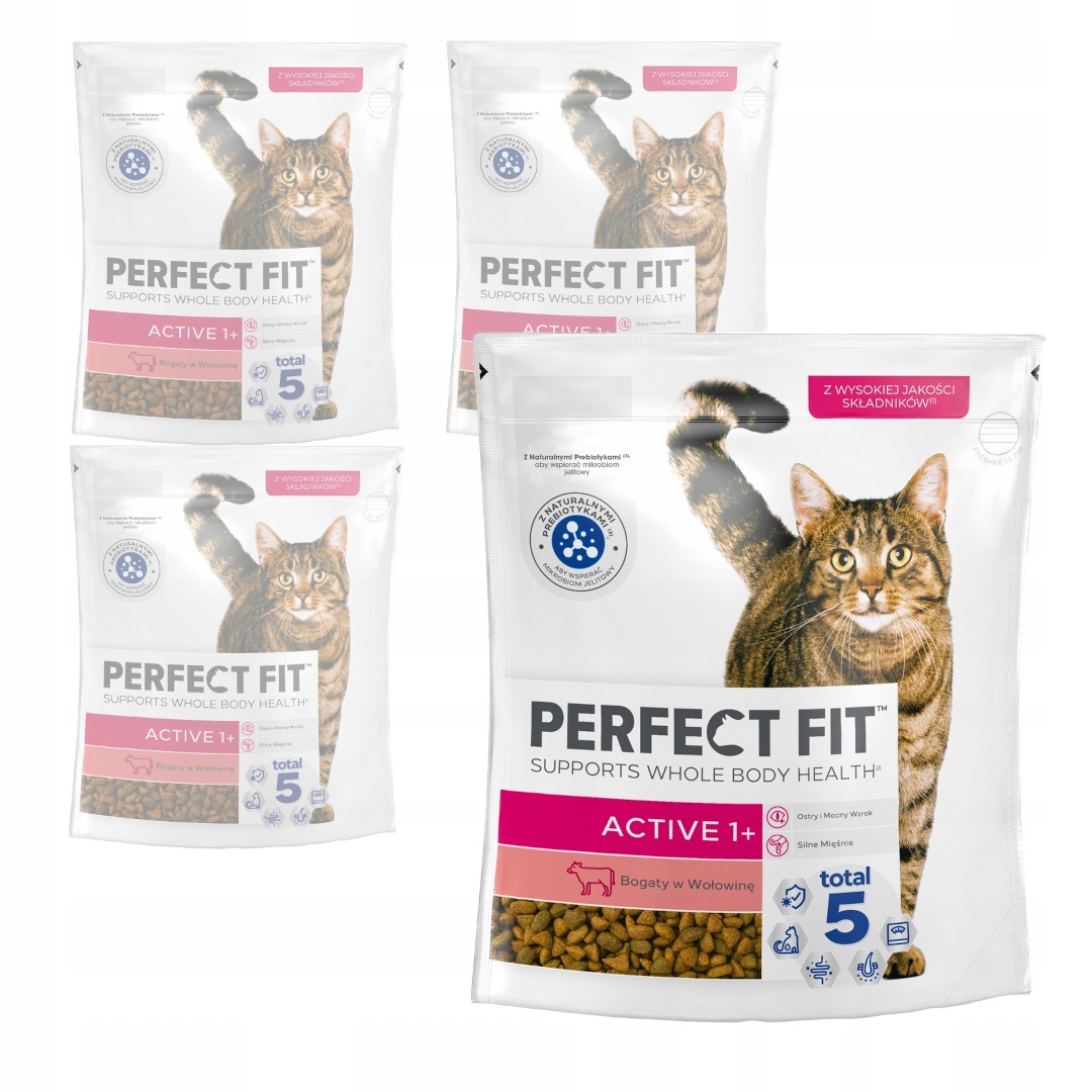 Perfect Fit Active 1+ s hovězím masem Suché Krmivo pro aktivní kočky 4x750 g