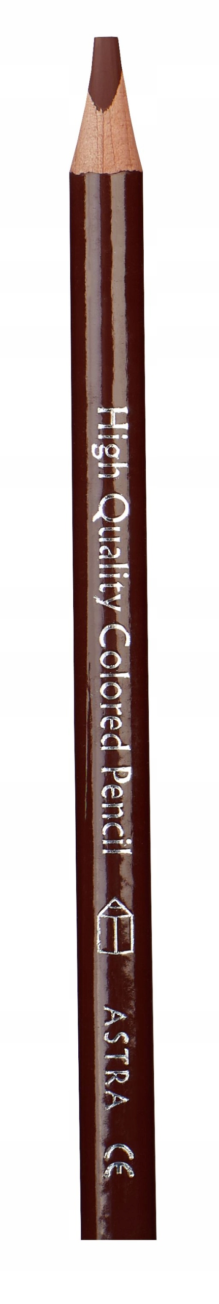 

Kredki ołówkowe Jumbo brąz Astra 312117014 24szt