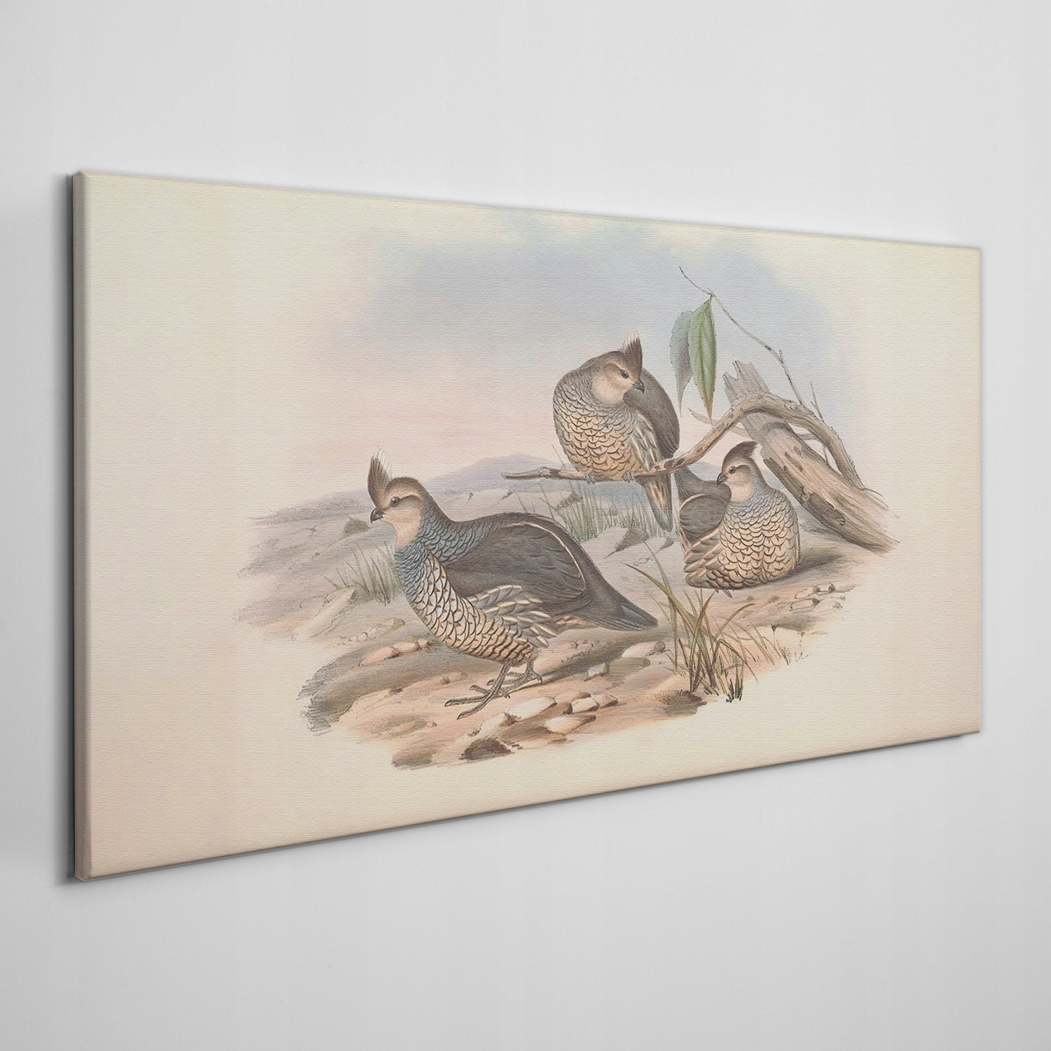 

Obraz na płótnie Ptaki zwierzęta rysunek 100x50 cm