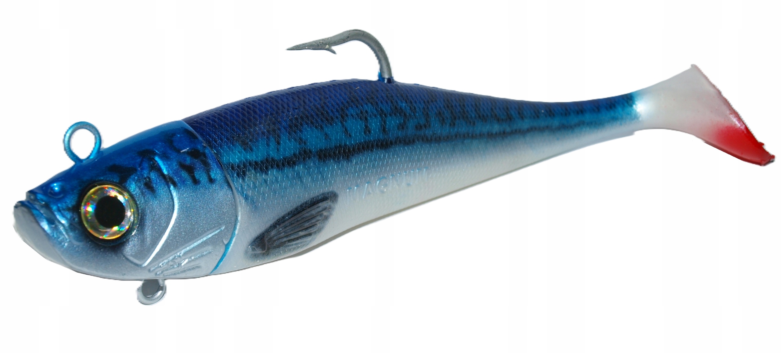 Guma morska zbrojona, głowa ryby 380g, 23cm