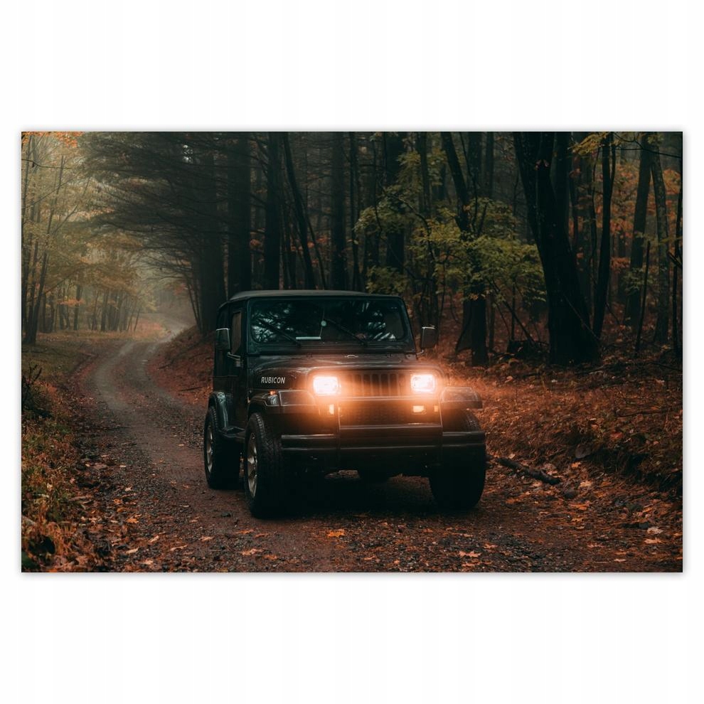 

Plakaty 60x40 Motoryzacja Samochód Auta