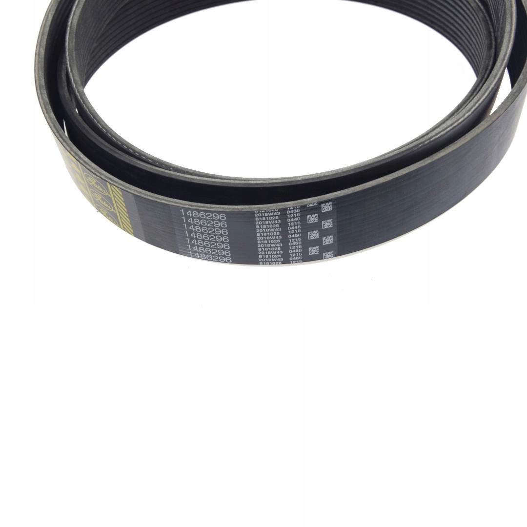 Поликлиновой Ferndt 1486296 Gates