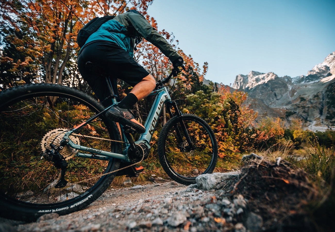 ROWER KELLYS TYGON R10 FOREST 2023 RAMA M Model Tygon R10