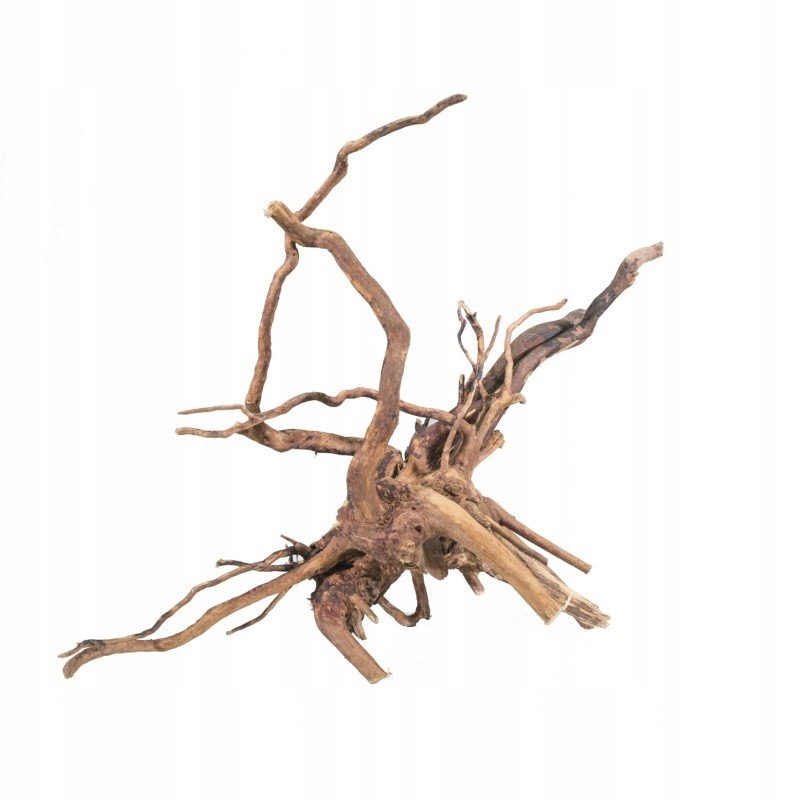 Levně Kořen bažinatý Red Moor MIX