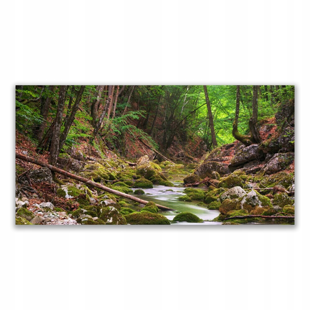 

Fotoobraz z grafiką ścienny 120x60 Las Mech Natura