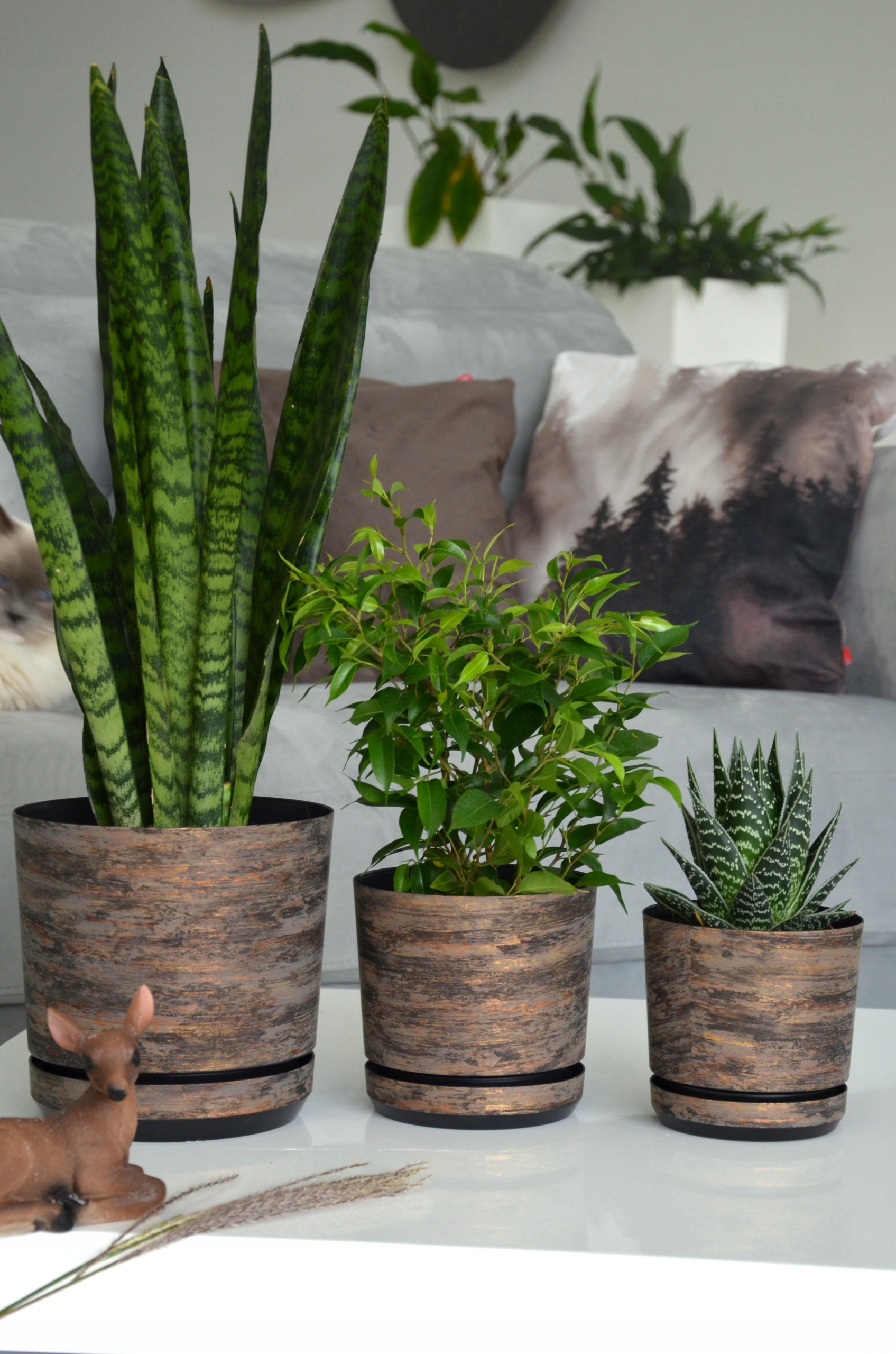 14 RDZAWA KORA Doniczki podstawka imitacja drewna Marka Kerd