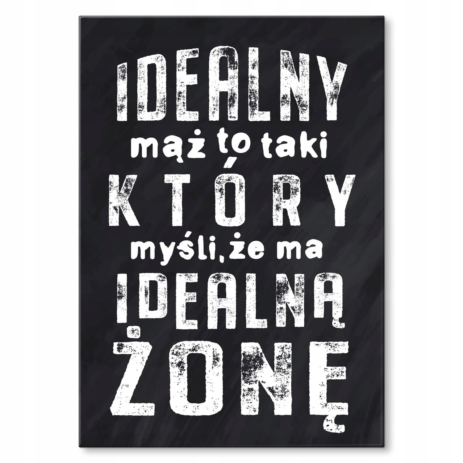 Kovový plakát Ideální manžel Šild Plech 30 x 42 cm Dárek