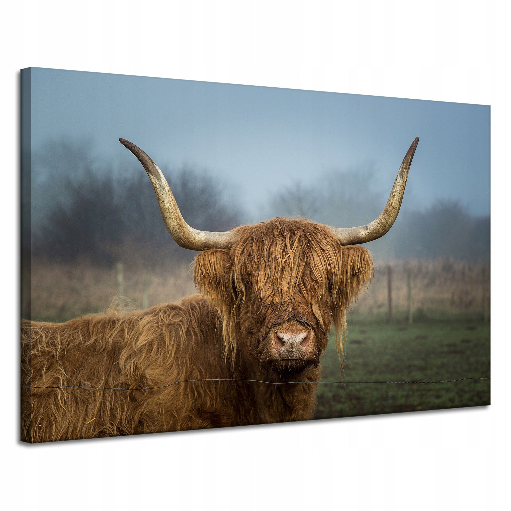 Obraz Canvas Zvířata Kráva na plátně 120x80 cm