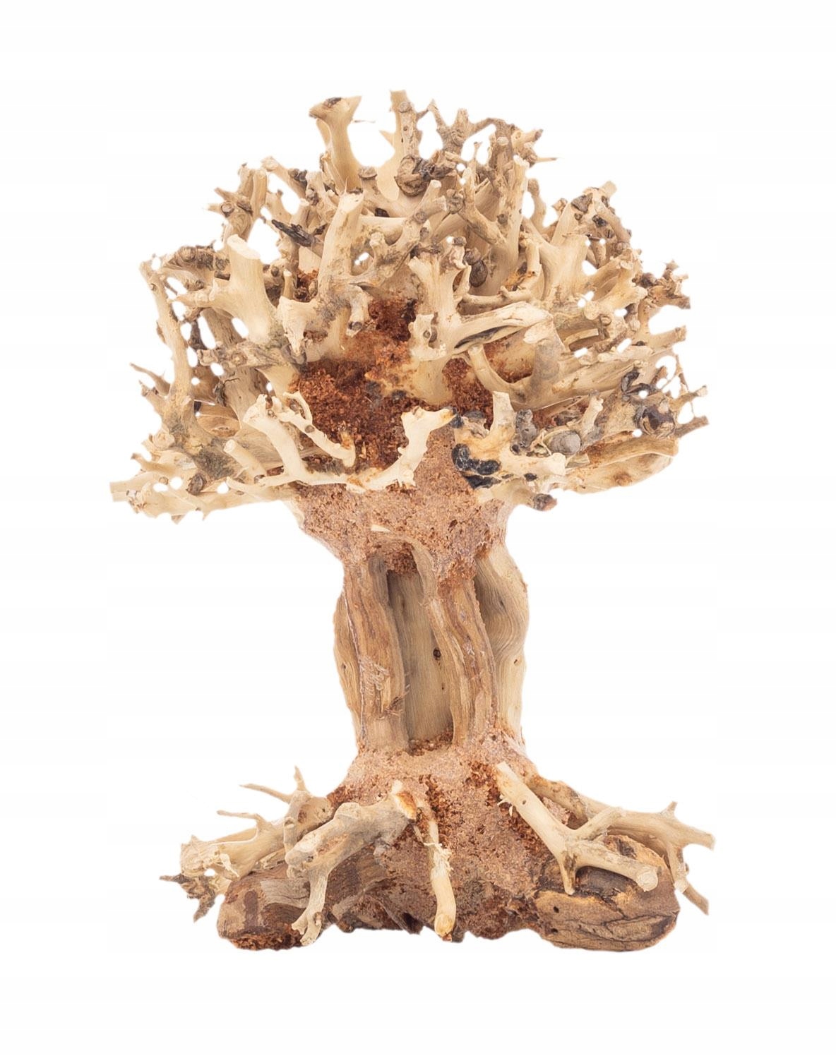 Levně Progrow Bonsai Tree BT7XS 10X10X15CM