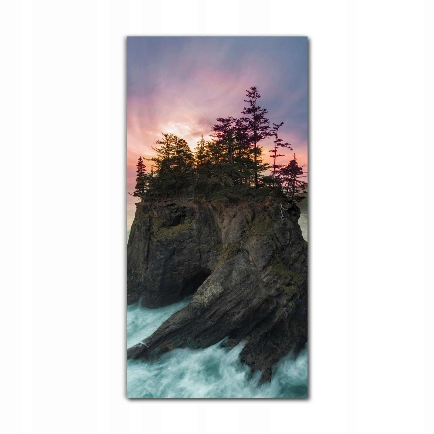 

Foto szklane na ścianę 70x140 Morskie fale drzewa