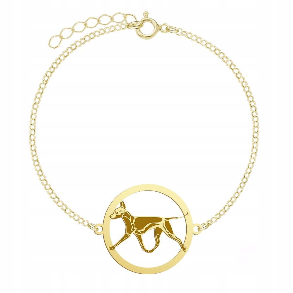 Zlatý náramek s psem Mexican Hairless 925 Řetízek Žena Gravírování