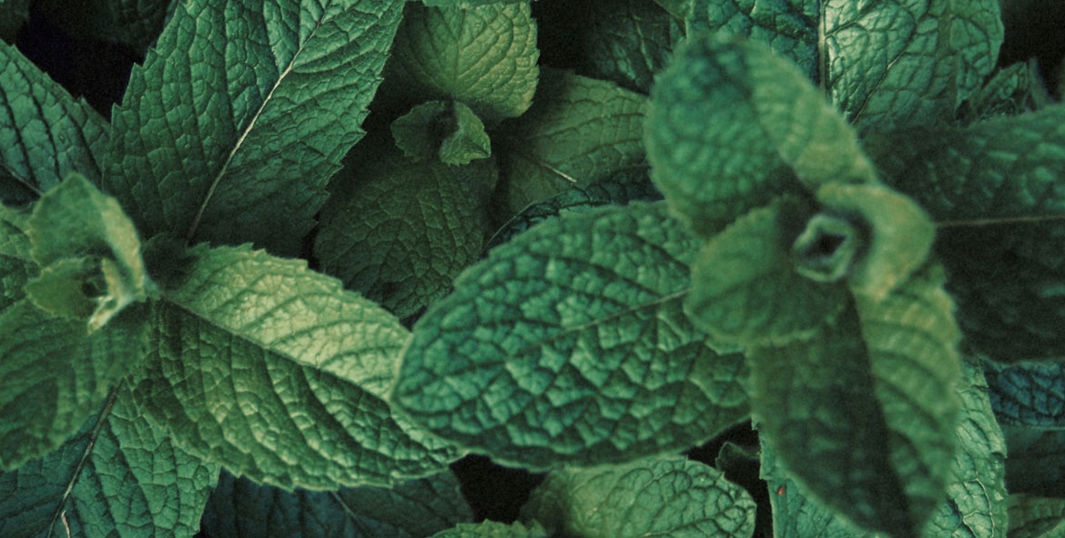 MARINE MEN EDP 100ml Perfumy JFenzi *Fenzi Marka JFenzi