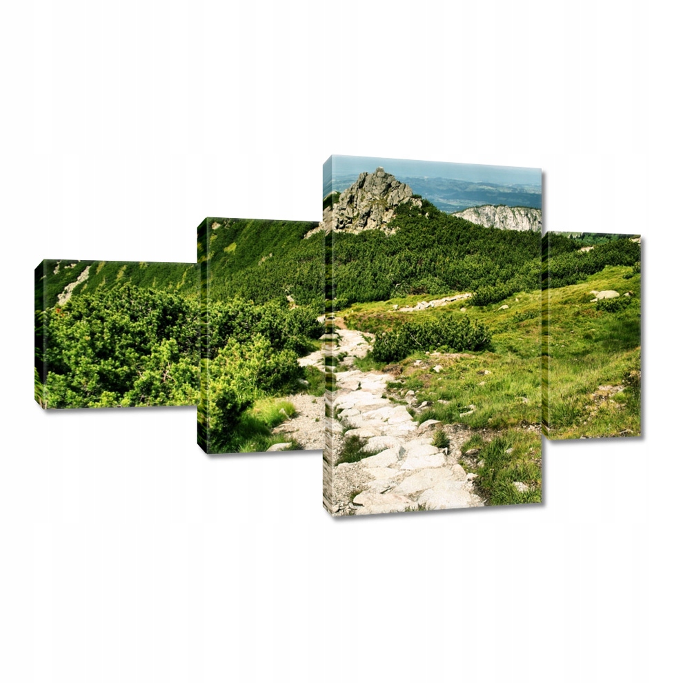 Obraz 130x80 Hory Tatry