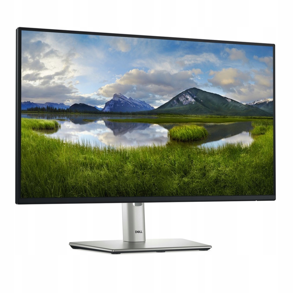 Monitor Dell Led 24 P2425HE