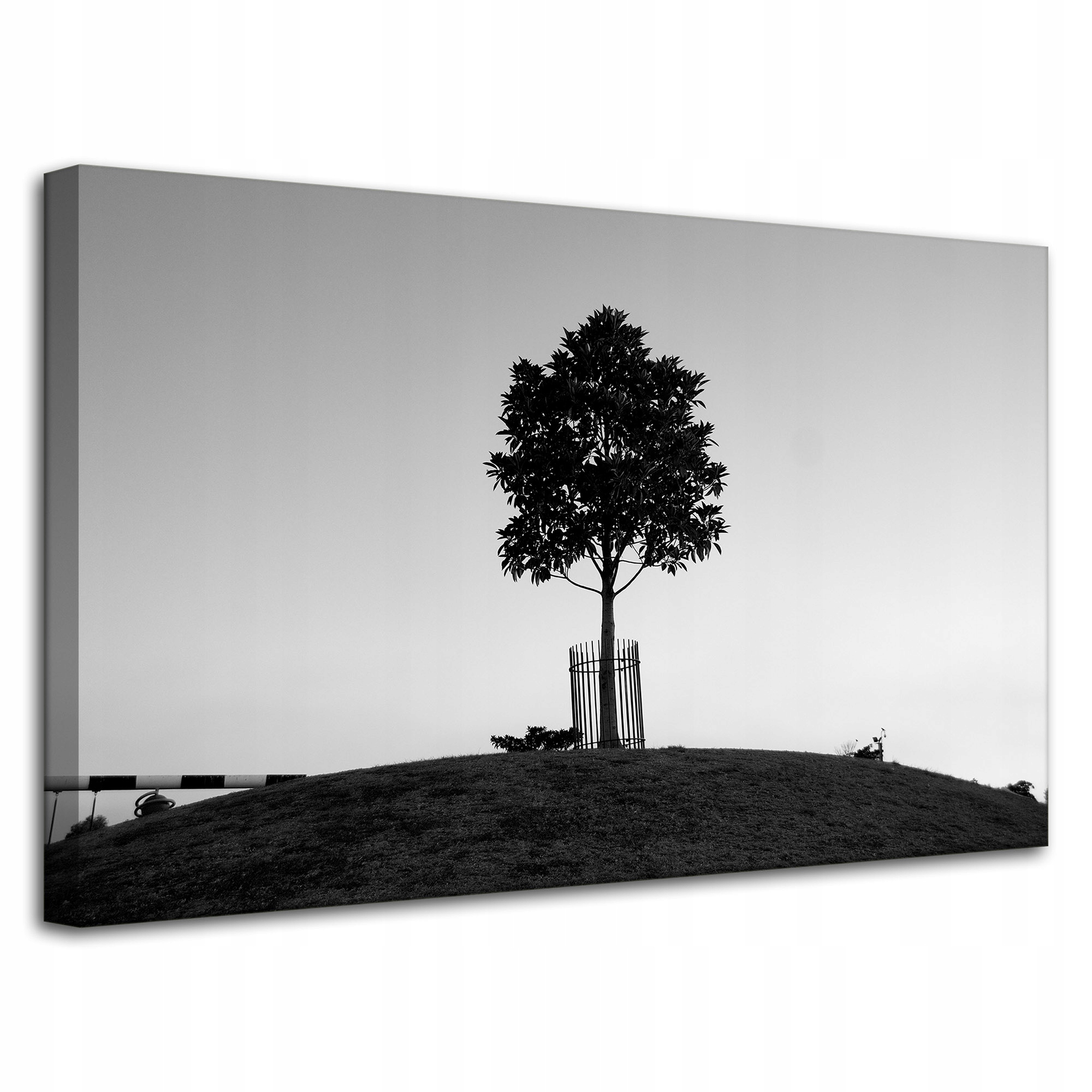 Obraz Canvas Příroda Černobílé dřevo 80x50 cm