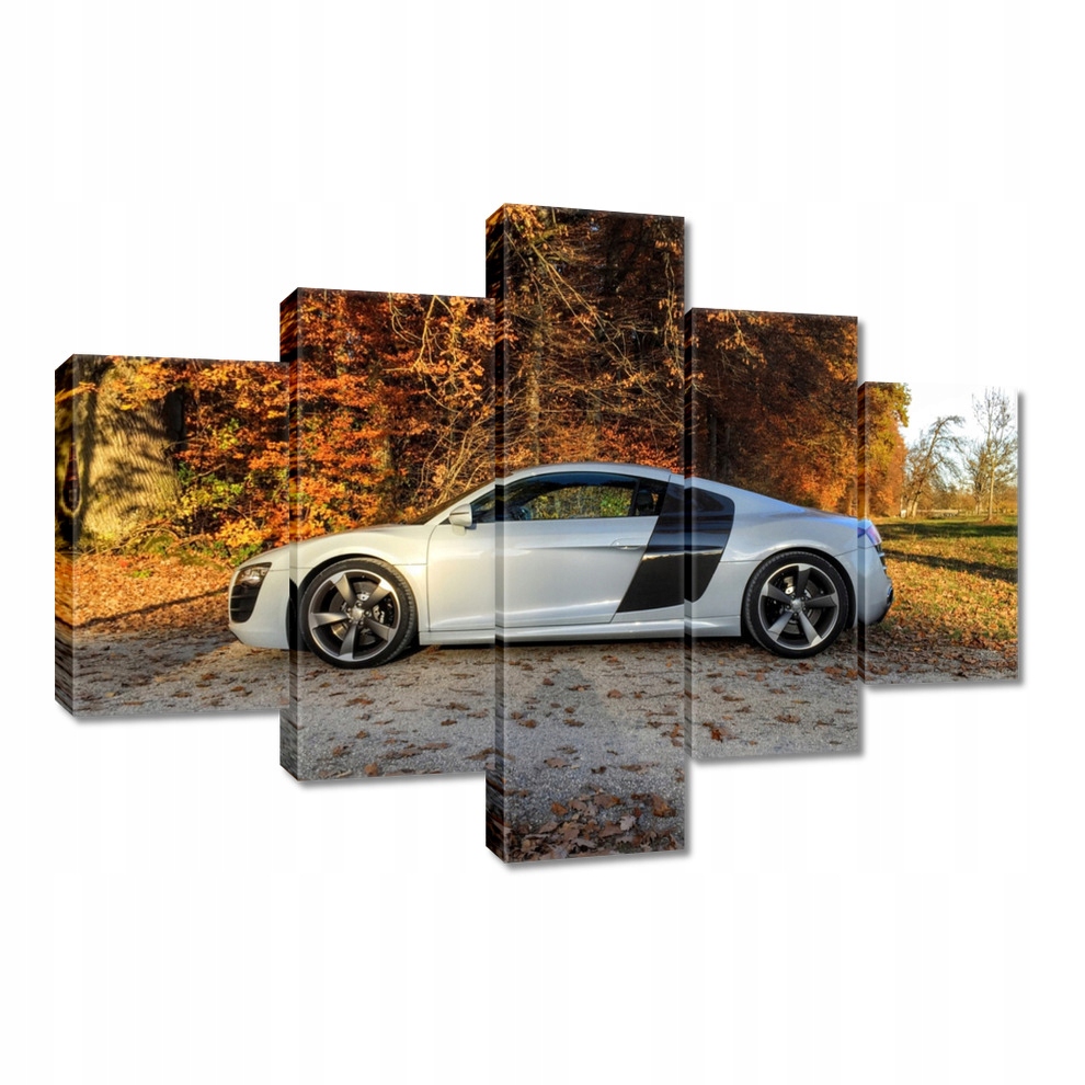 

Obrazy 100x70 Jesienne Audi Samochód