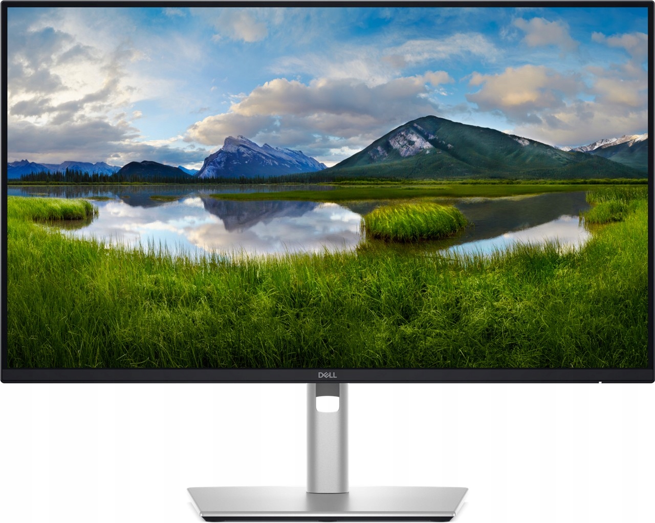 Led Monitor Dell P2425D 23,8" 2560 x 1440 px Ips Pls