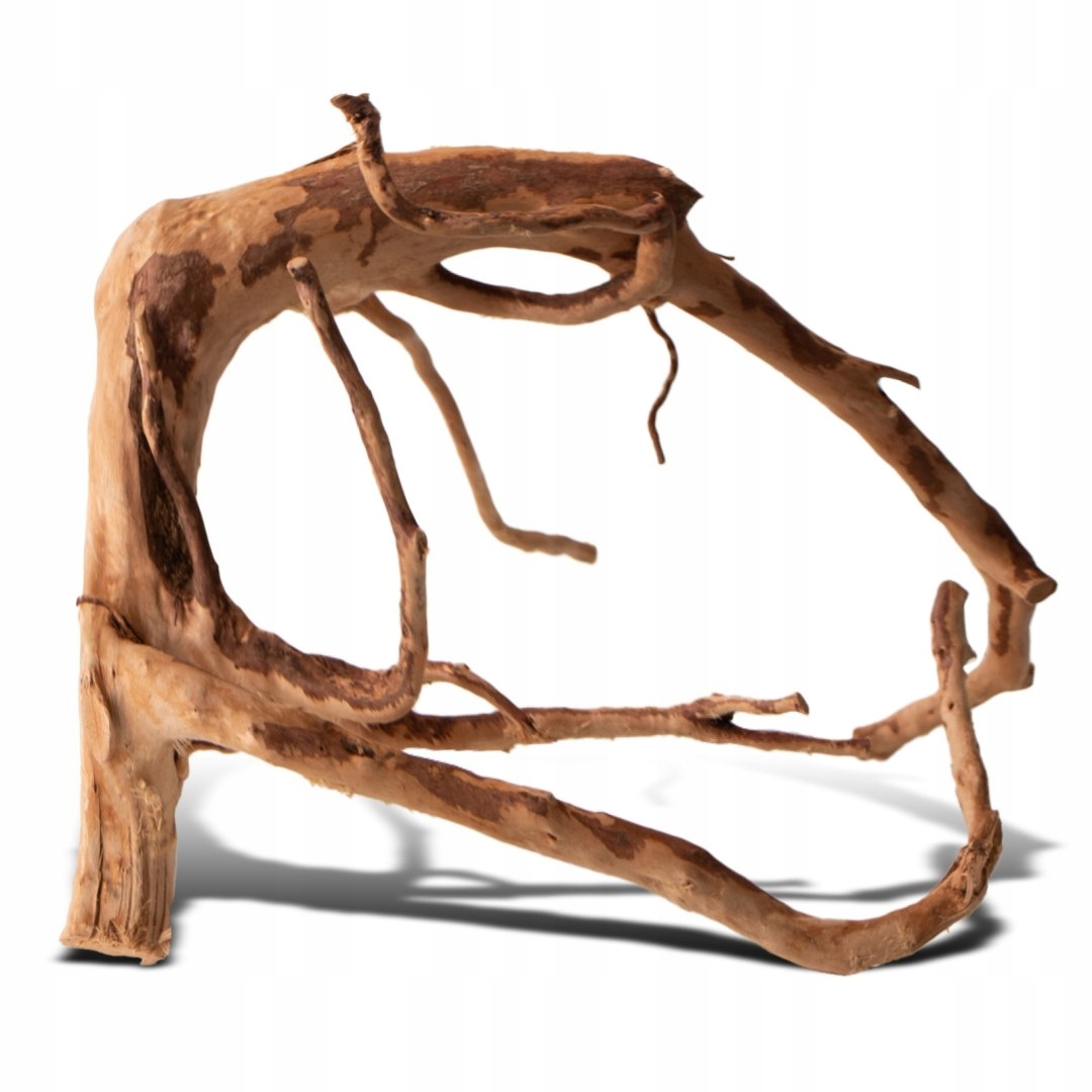 Levně Shizen Essence J-roots S – malé japonské kořeny Mizube a Ryuboku