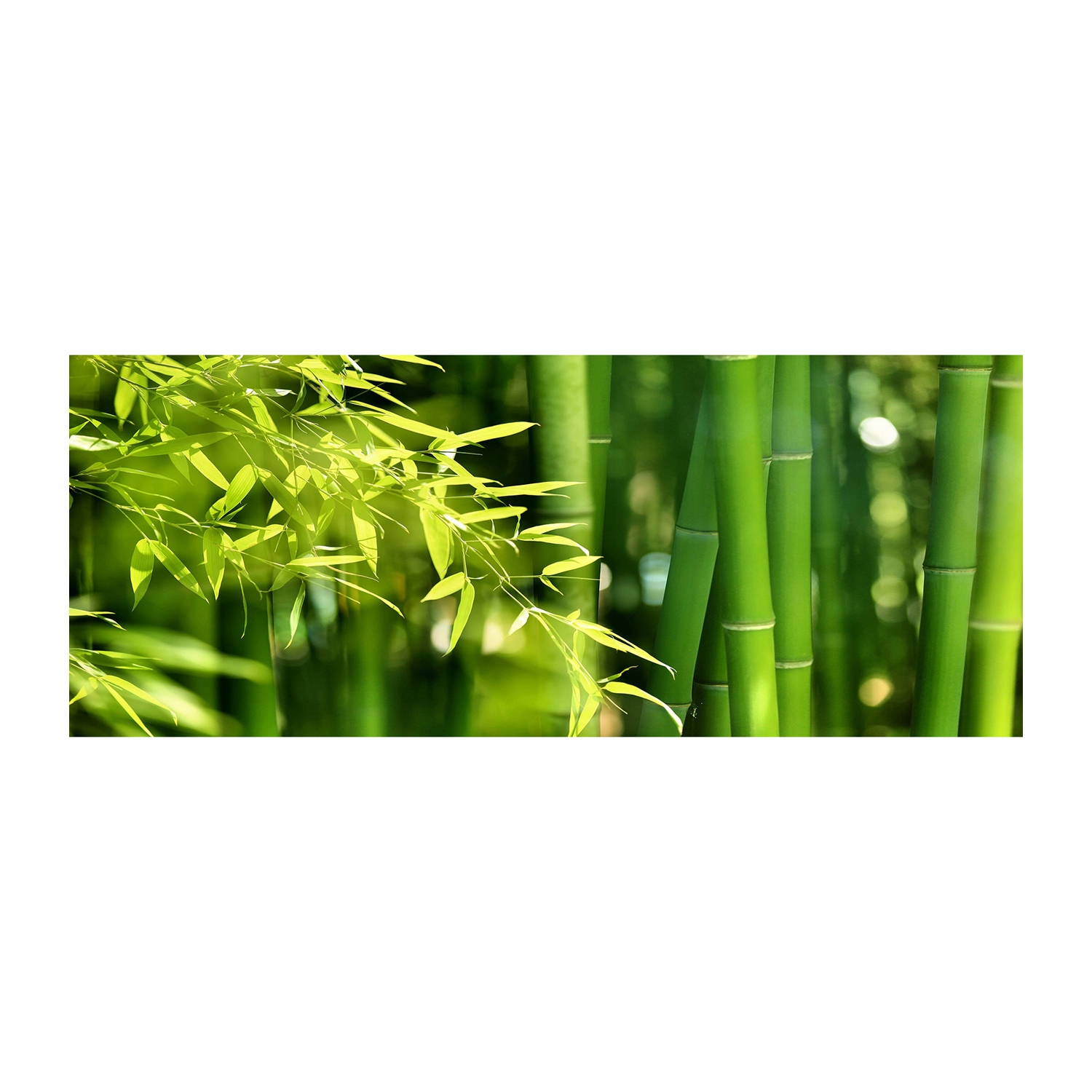 

Fotoobraz akryl nowoczesny na ścianę Bambus 125x50