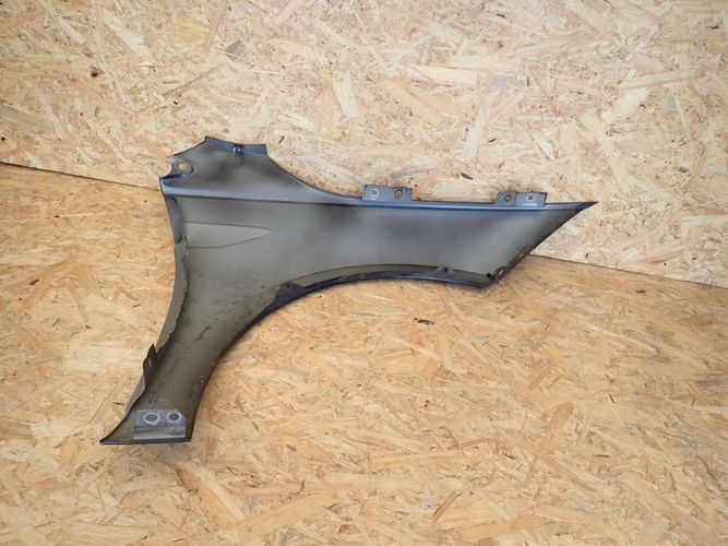 VW POLO 2G 17- fender left front front