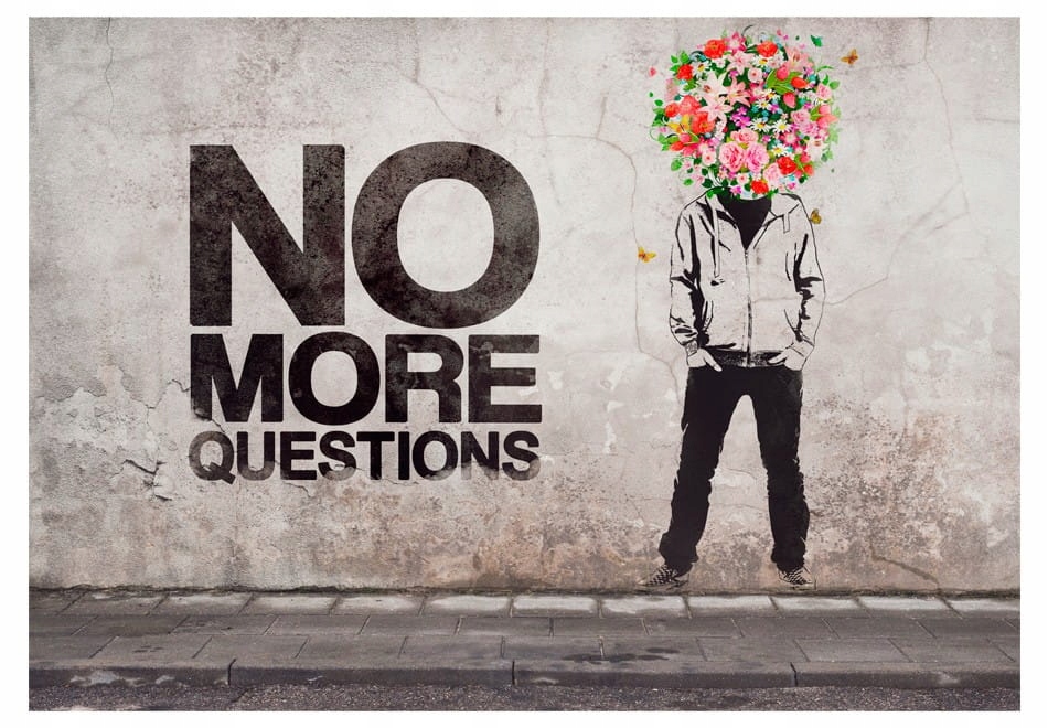 

Fototapeta - No more questions - 150X105