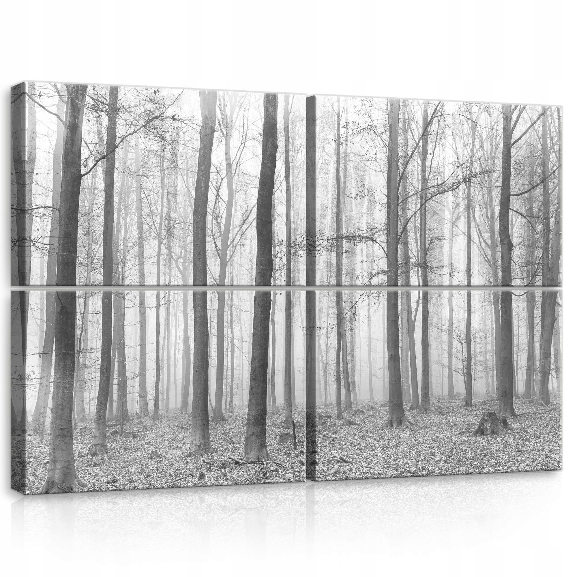 Obraz 120x80 Les v hmle monochromatická krajina čiernobiele stromy príroda