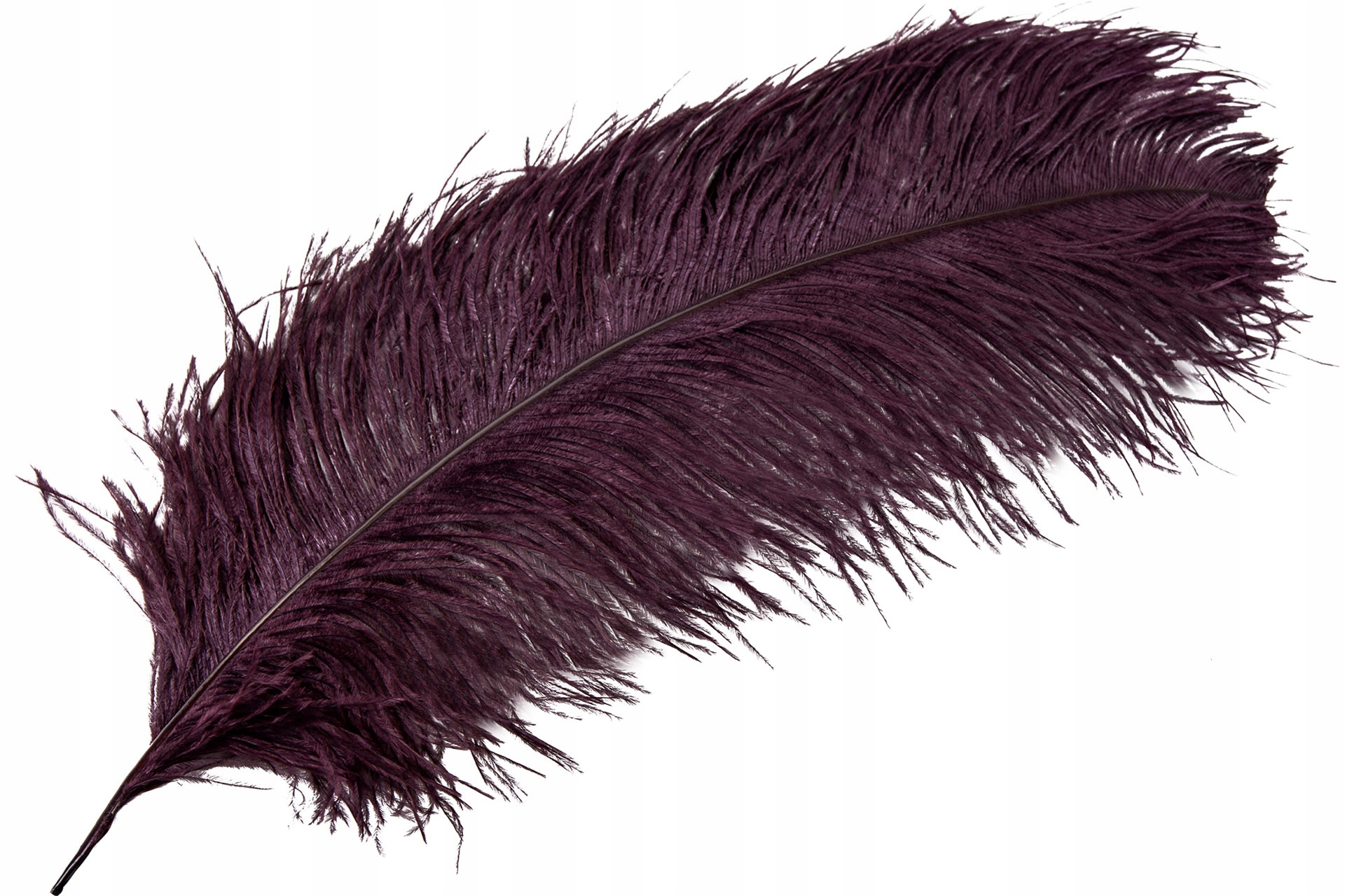 Příběh Strusie pro vázy Burgund 60cm