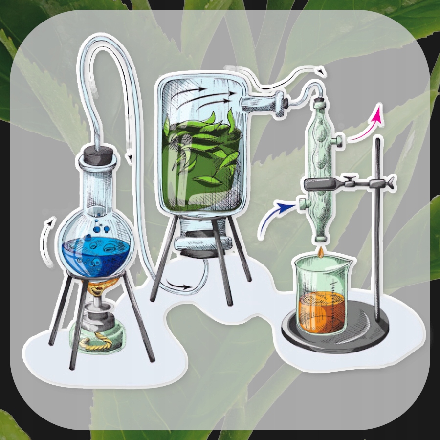 Naturalne KWIATOWE Olejki Zapachowe do Domu | Zapach do Sypialni EAN (GTIN) 4894915156497