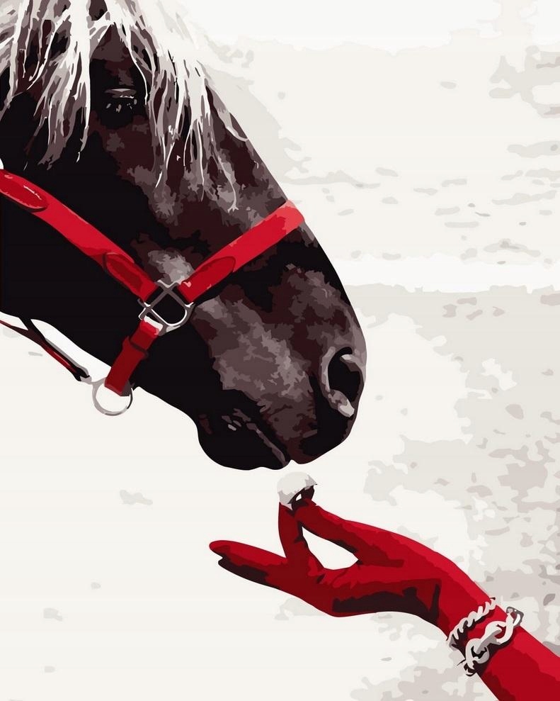 Malování Podle Čísel Kůň A Šperky 40X50CM