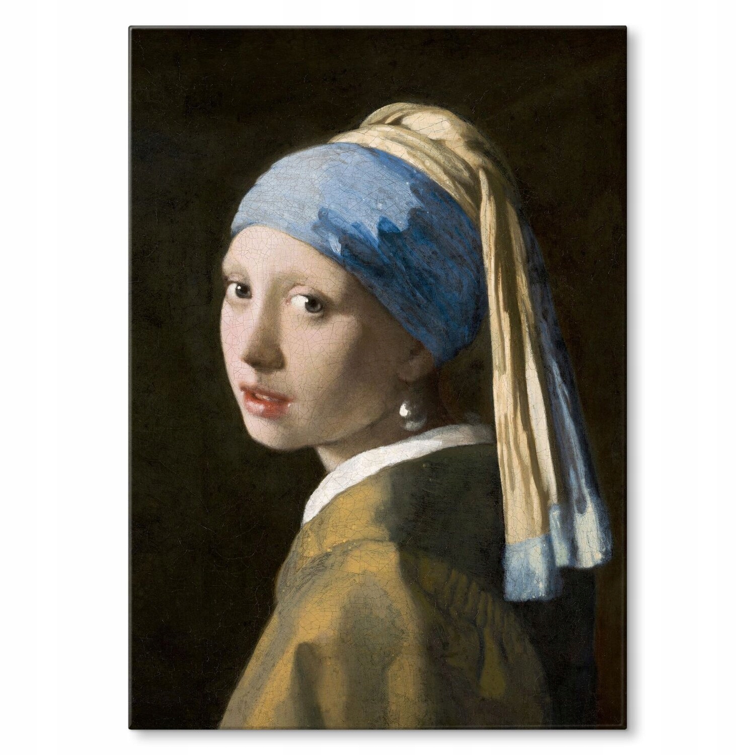 Kovový plakát Vermeer s perlou Szyld Plech 42 x 59,4 cm Dárek