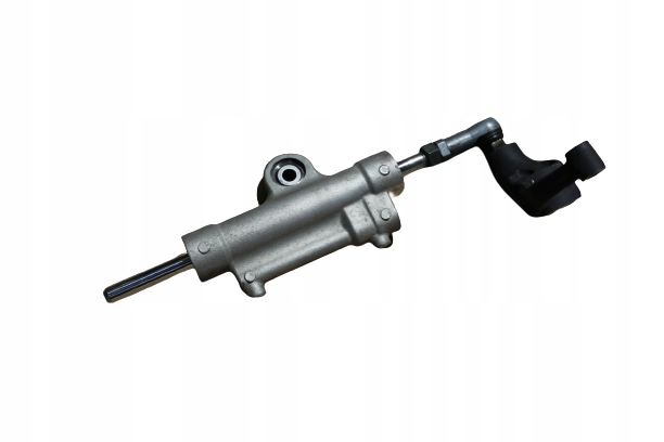 RN12.AMORSKRETU - R1 RN12 04-06 амортизатор поворота + крепление