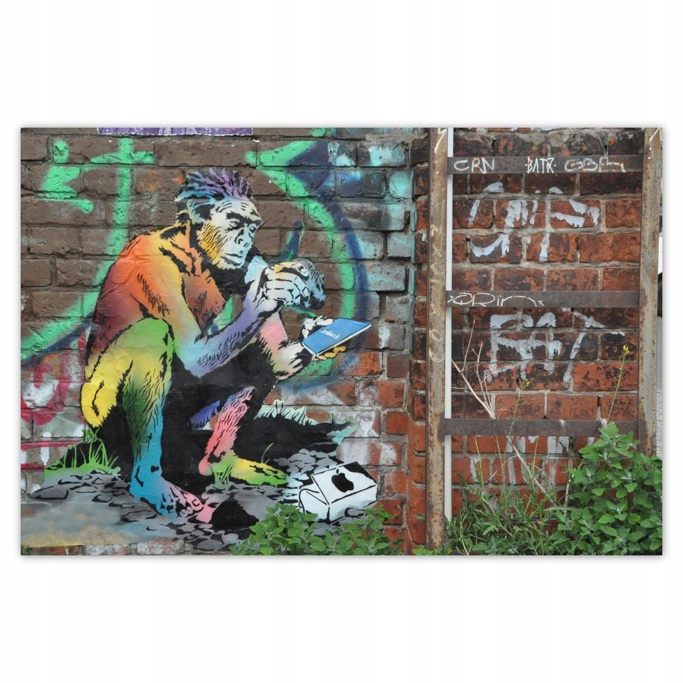 

Plakaty 60x40 Graffiti Sztuka uliczna