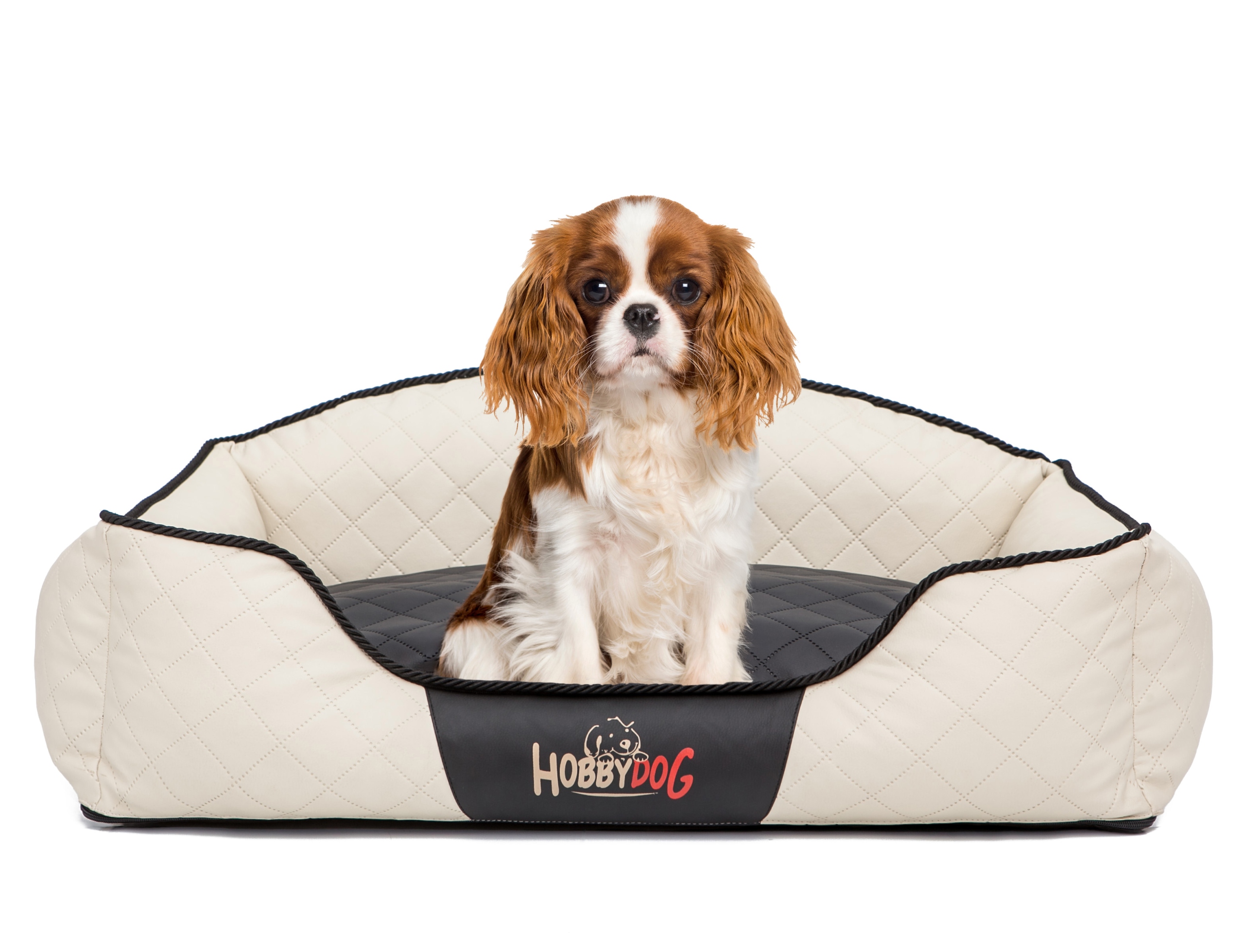 Pelíšek Elite, malá pohovka postel pro psa L 65x50