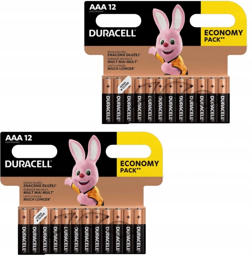 24x ORYGINALNE BATERIE ALKALICZNE DURACELL LR3/AAA 10 lat ważności