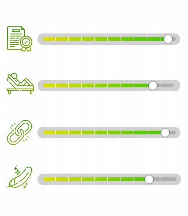 Fotel Łóżko Polowe Rozkładany Leżak Do Spania Leżanka Ogrodowa Szary VENUS Kolor korpusu czarny
