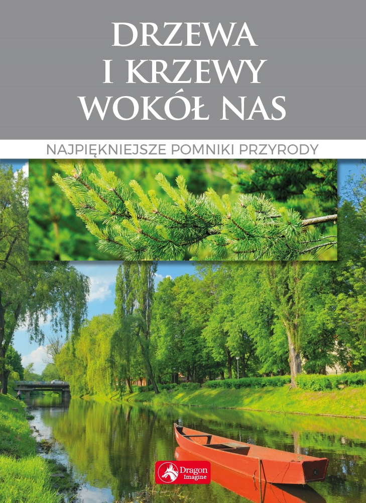 DRZEWA KRZEWY I INNE ROŚLINY WOKÓŁ NAS