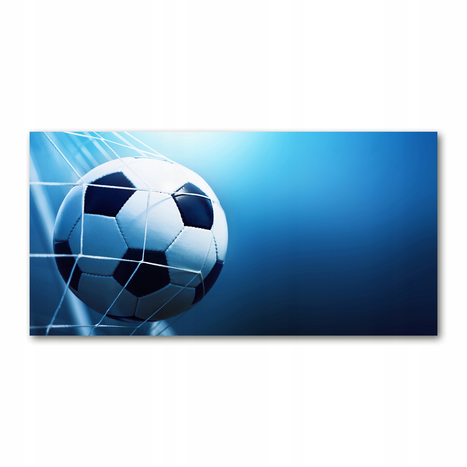 

Foto obraz szkło hartowane Piłka w bramce 140x70