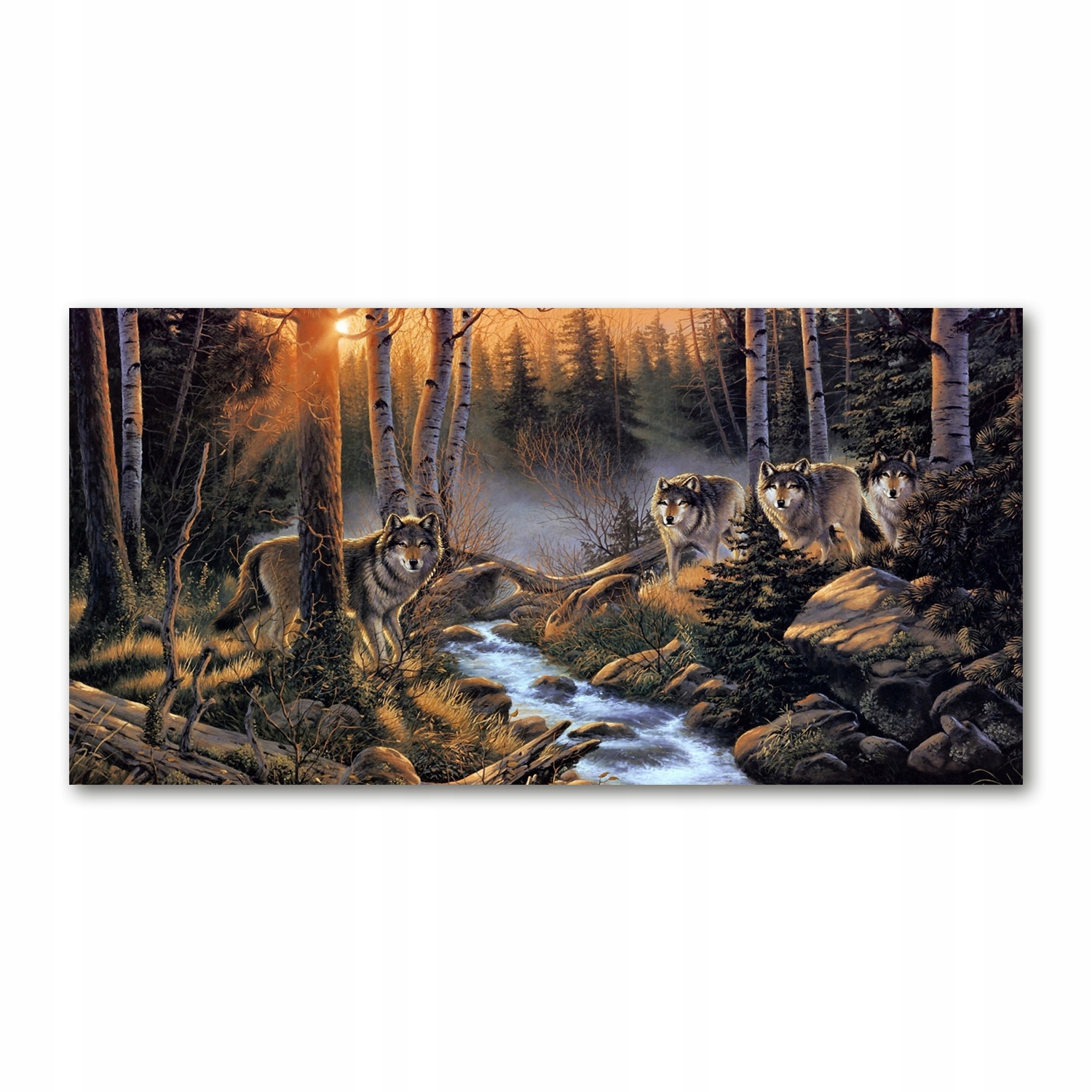 

Foto obraz akryl zdjęcie Wataha wilków 120X60 cm