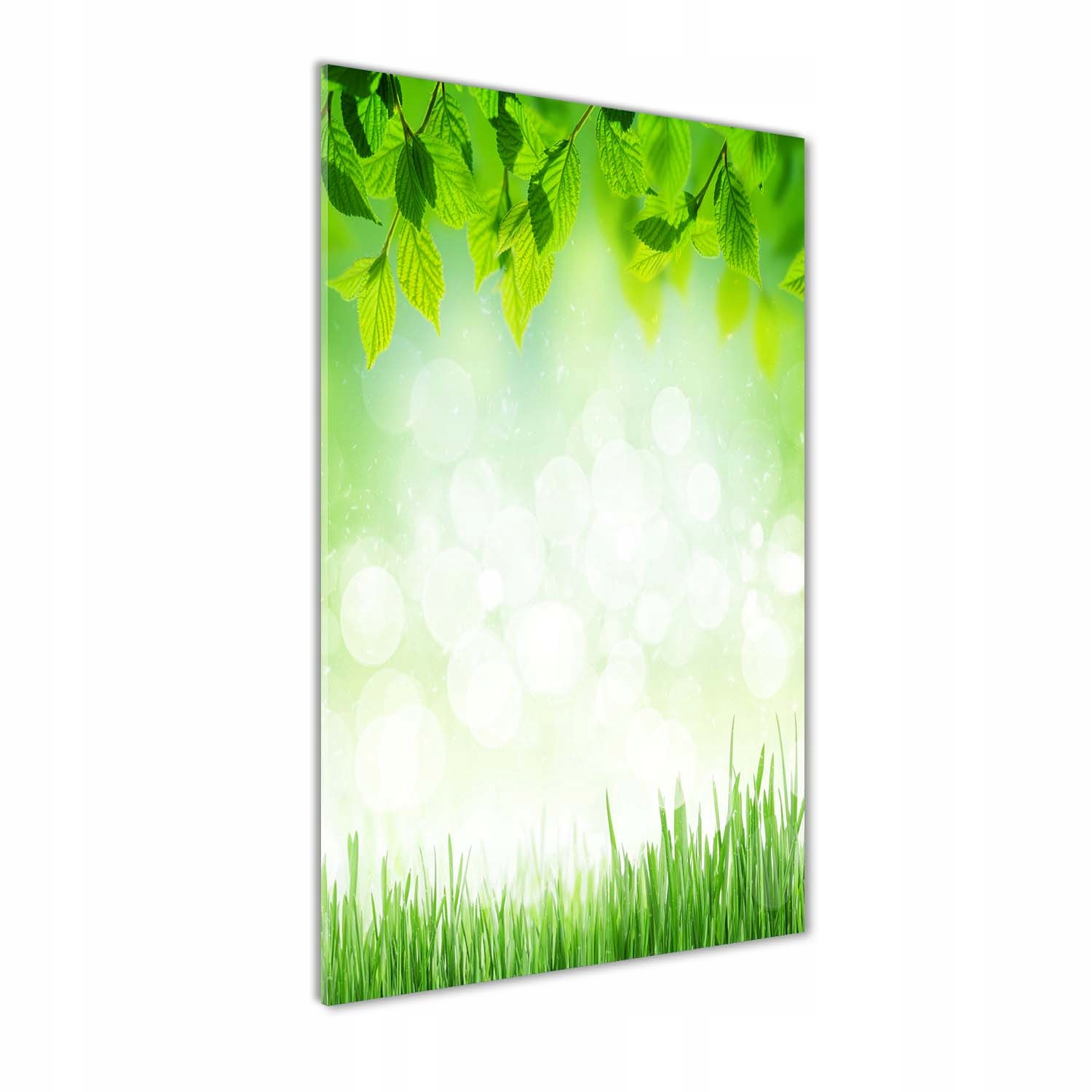 

Foto obraz akryl do salonu Liście i trawa 60x120cm
