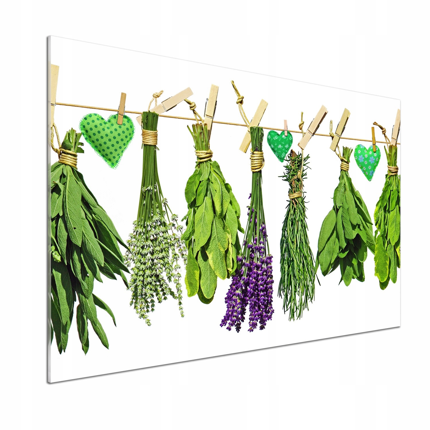 Panel do kuchyne Bylinky na šnúrke 100 x 70 cm Lepidlo