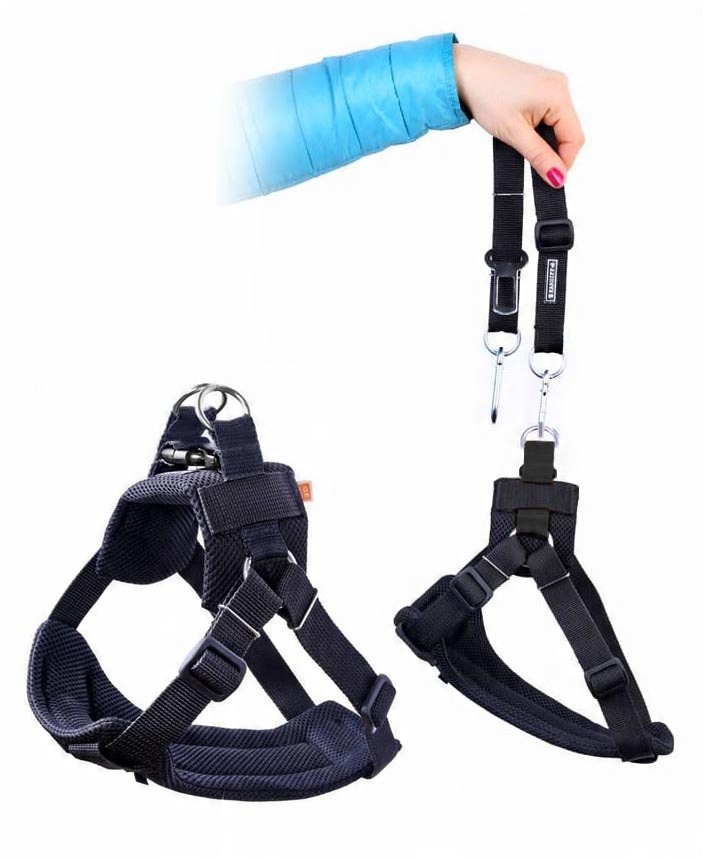

Pasy do samochodu dla psa Kardiff S 7-12 kg