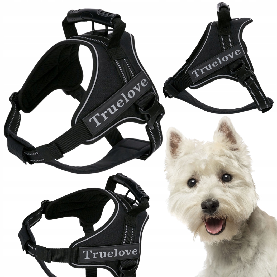 Postroj Pro Psa Pracujícího S Rukojetí Truelove Outdoor Černý Xs