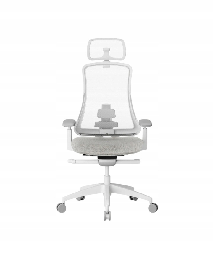Fotel Biurowy Ergonomiczny Siatka 4D Regulowany Flexispot Sheer Szary