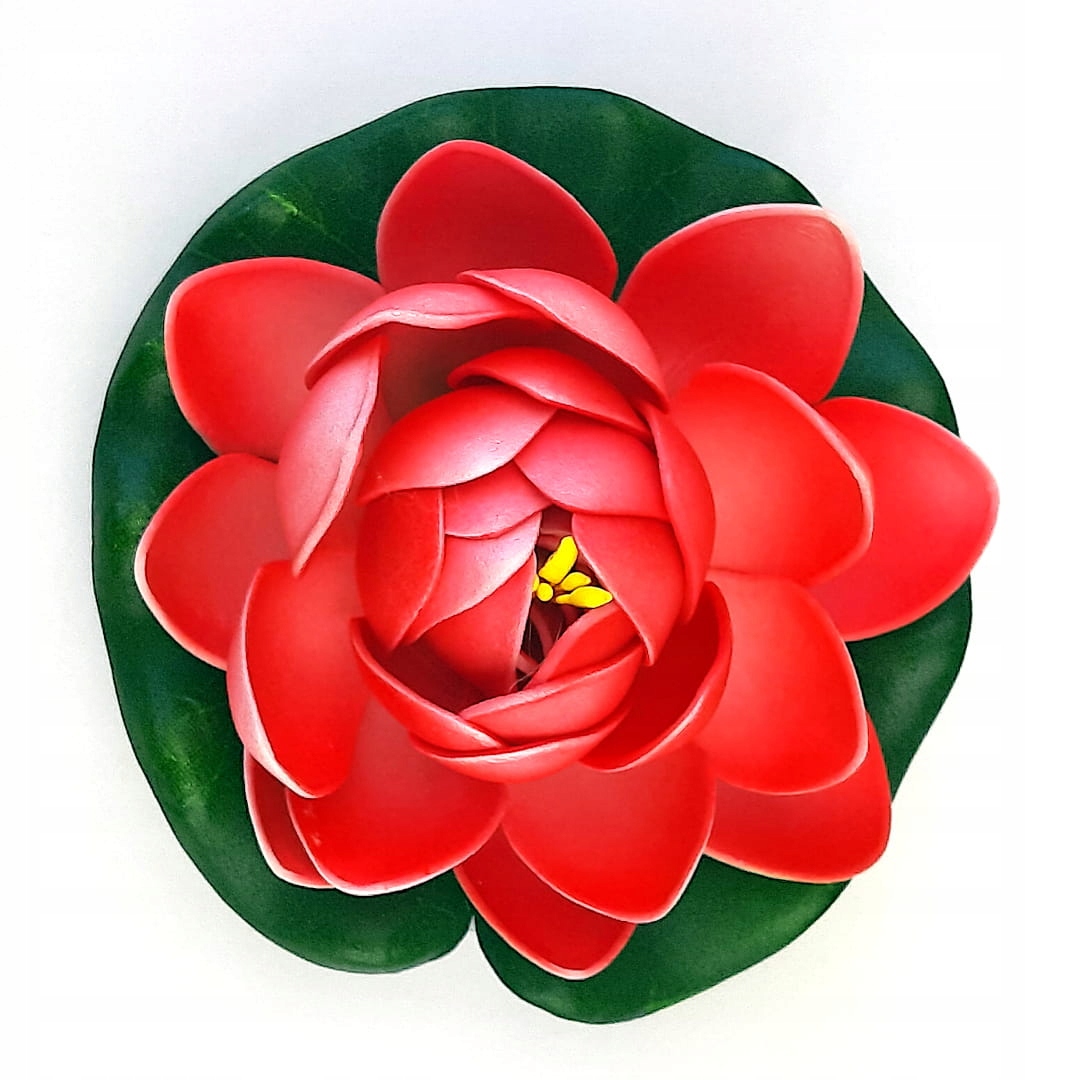 LILIA WODNA DO OCZKA BIAŁO CZERWONA 11cm ALABASTER EAN (GTIN) 5908305365068