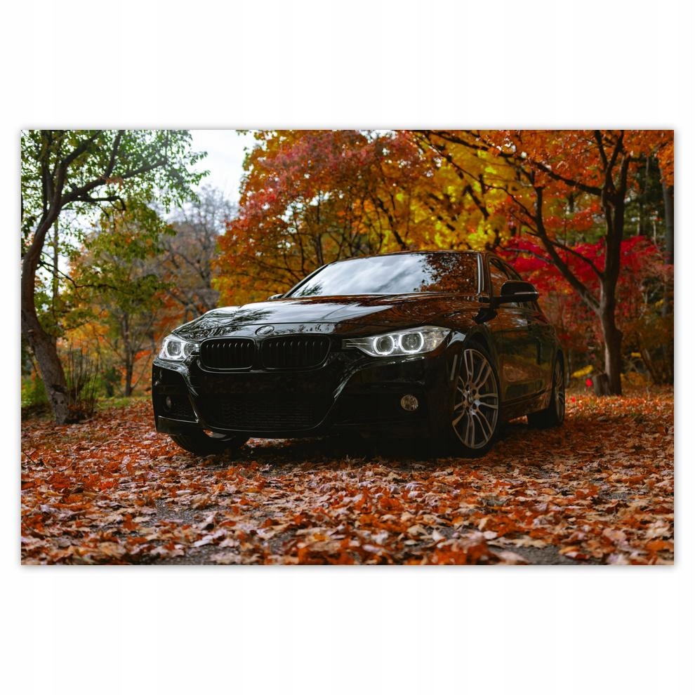 

Plakaty 60x40 Czarne Bmw Jesień